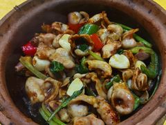 -天宝食坊·啫啫煲大排档(西华路店)