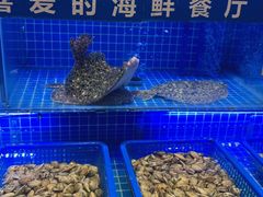 -悦海·家宴·冰花皮皮虾大锅贴(宝龙店)