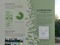 -北京西山国家森林公园