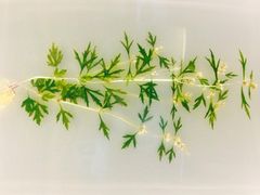 iphone_upload_pic-广东省博物馆