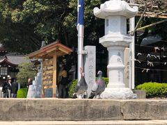 -水前寺成趣园