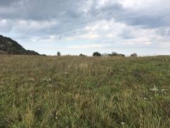 -白草畔自然风景区