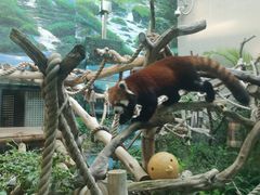 -石排湾郊野公园