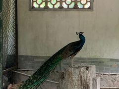 -中山詹园