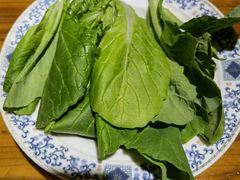 -桑吉林新派藏餐·汤锅·川菜