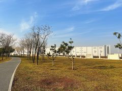 -洨河生态公园