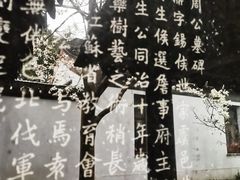 -常熟方塔园