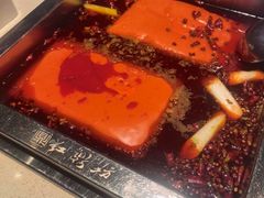 -红鼎坊·老成都火锅(新南门店)