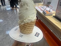 -野人先生现做冰淇淋(西安赛格店)