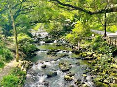 -广州市石门国家森林公园