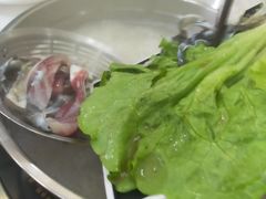 -源港渔村-中山脆肉鲩(博罗店)