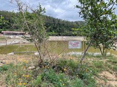 -绵阳盛世樱花悠乐谷