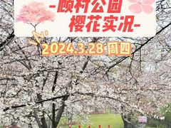 -上海外滩雅致酒店