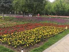 -长春公园(普阳街道)