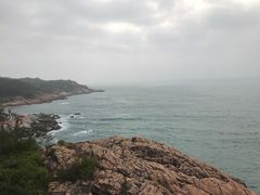 -广东惠东海龟国家级自然保护区