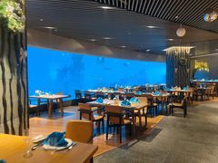 大堂-海棠湾洲际-涛·海底餐厅·美人鱼·自助餐·海底隧道