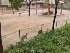 -石家庄市动物园