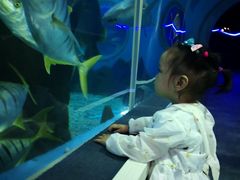 -北戴河圣蓝海洋公园