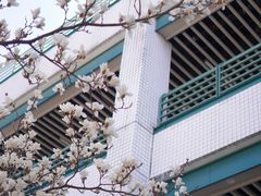 -浙江大学(紫金港校区)