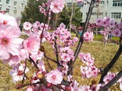 -山东师范大学(千佛山校区)