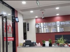 -御宝贝24h宠物医院·转诊中心·CT核磁血透中心(厦门总院)
