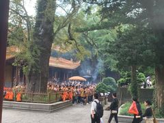 -普陀山风景名胜区-法雨禅寺