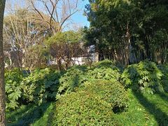 -上海醉白池公园