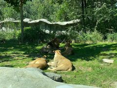 -北京野生动物园