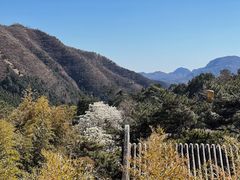-潭柘寺景区