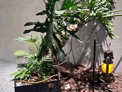 -J Create城市露营咖啡·简餐·宠物(上海动物园店)