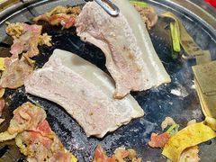 -杨小佳·齐齐哈尔烤肉·烤串(广州店)