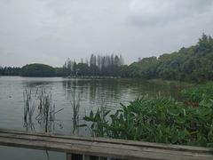 -艾溪湖湿地公园