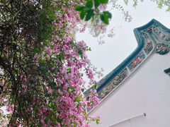 -深圳国际园林花卉博览园