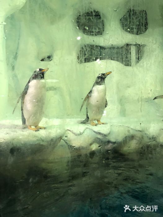 南昌海洋公园图片