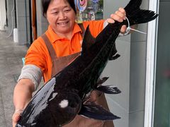 -鱼宴馆·家宴老字号淳鱼馆(千岛湖总店)