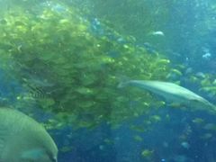 -福州罗源湾海洋世界旅游区