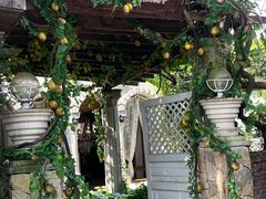 -Lamant Manor已闻花名關於藍