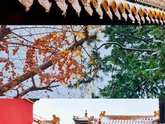 -故宫博物院(故宫)