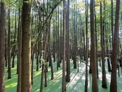 -青山湖景区