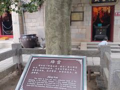 -青岛崂山太清宫