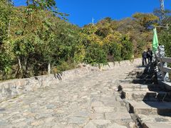 -大岭沟猕猴桃谷风景区