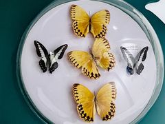 -房山世界地质公园博物馆