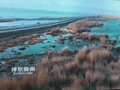 -中国湿地博物馆