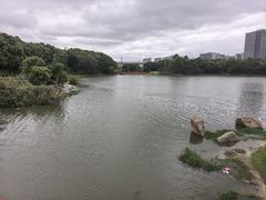 -美兰湖景区