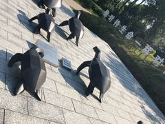 -广东惠东海龟国家级自然保护区