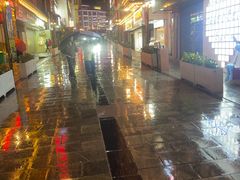 -玛拉亚藏餐厅