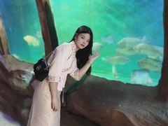 -东南花都花博园