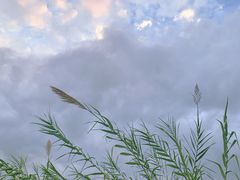 -牛岗山公园