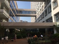 -深圳市宝安区妇幼保健院