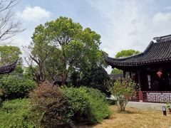 -上海海湾国家森林公园